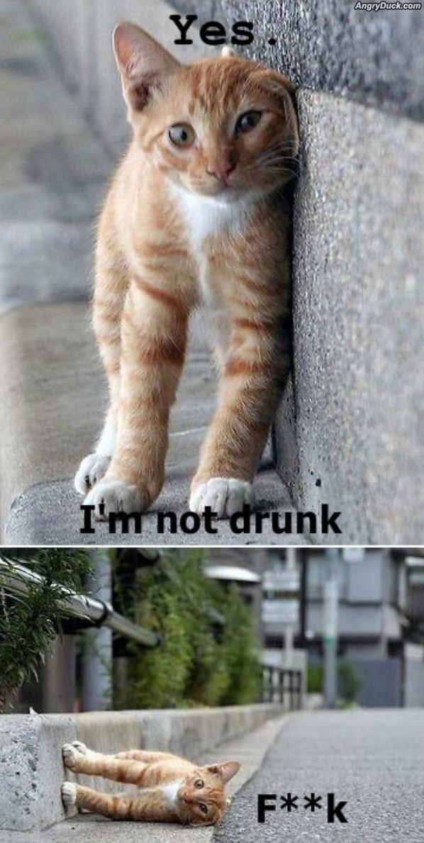 Im Not Drunk