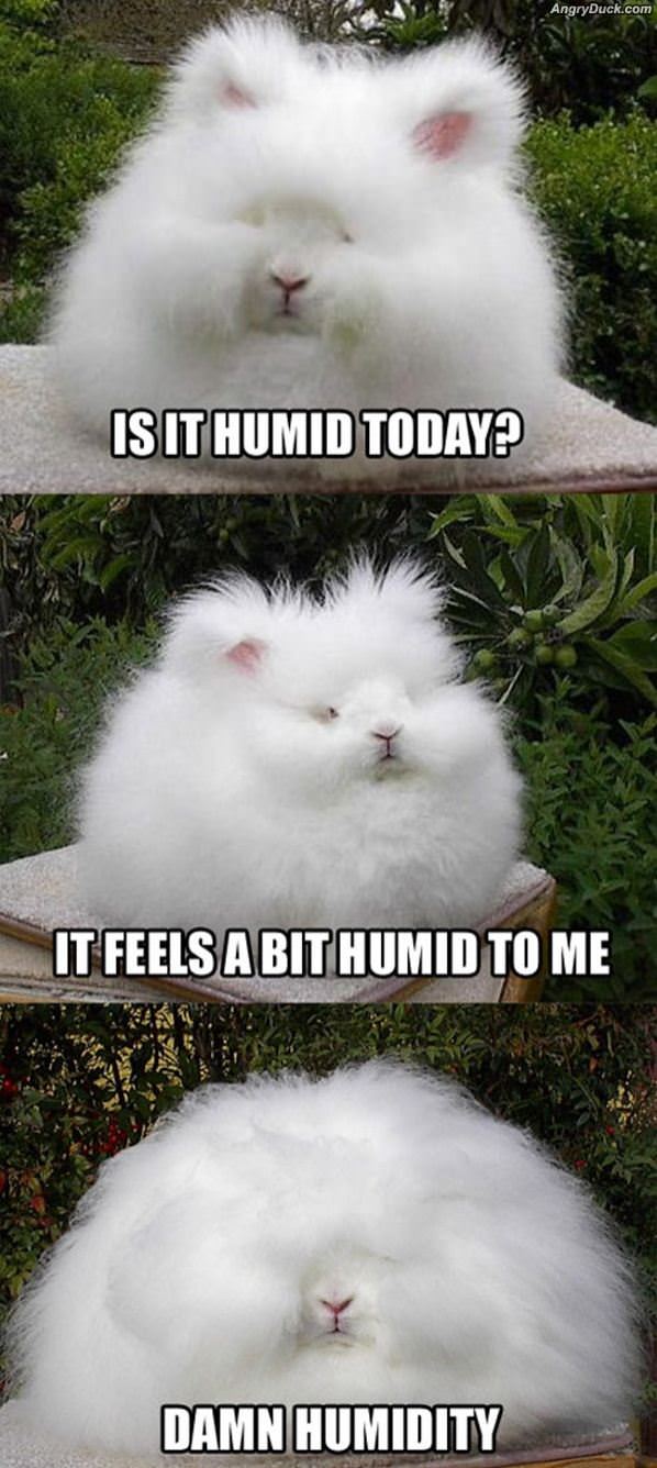 Is It Humid