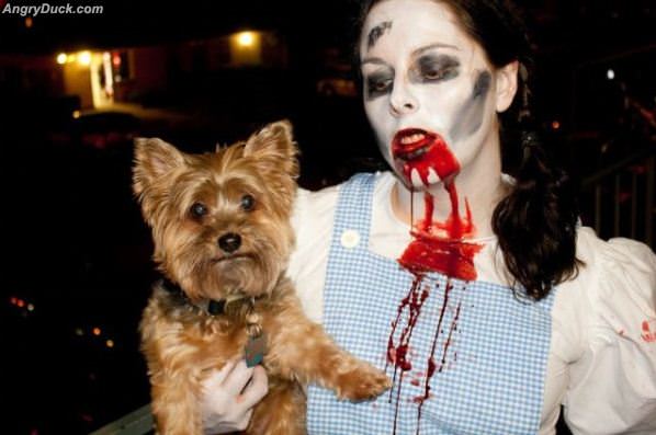 Not In Kansas Anymore