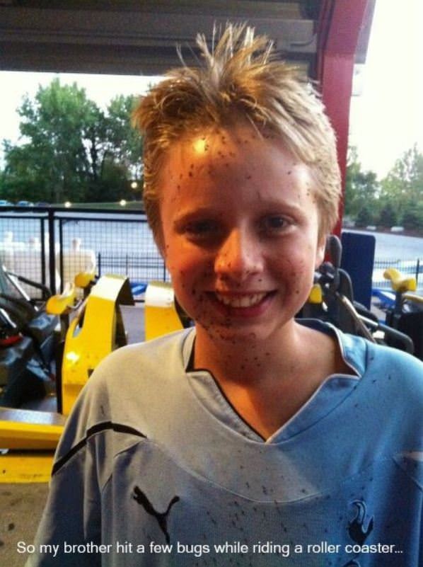 Roller Coaster Bugs