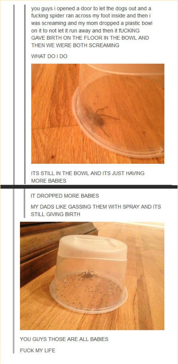 Spider Problems