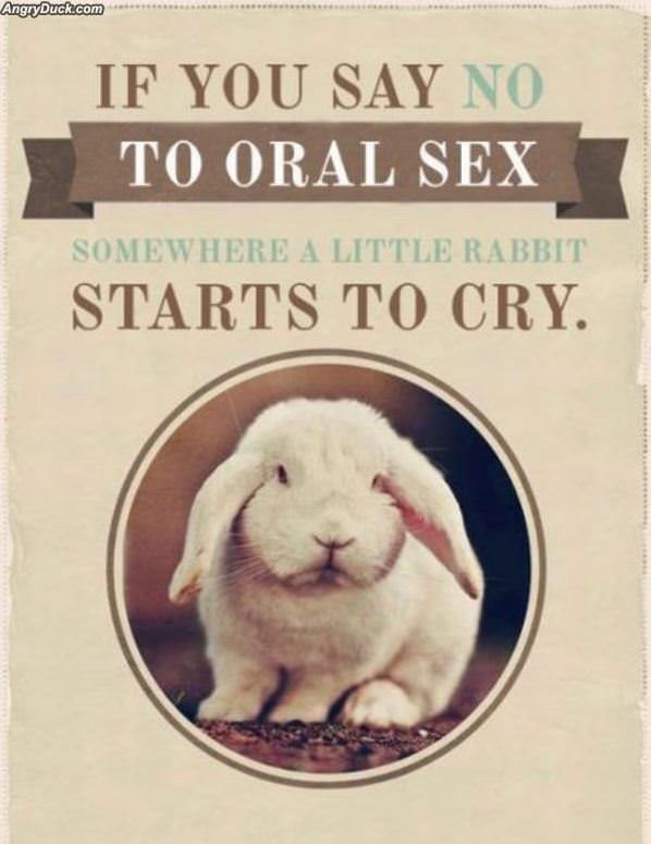 Think Of The Bunnies