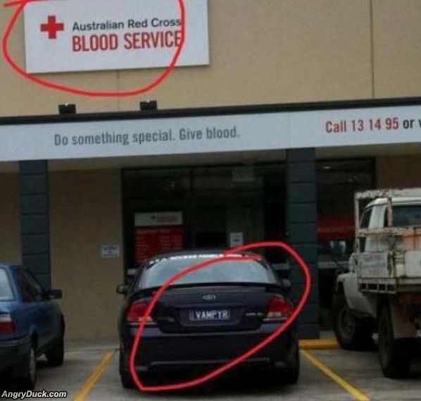 Blood Service