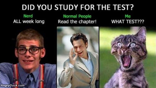 Did You Study