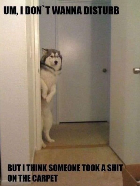 Dont Want To Disturb