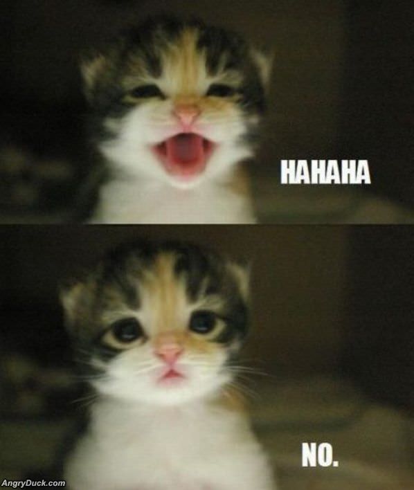 Hahahaha No