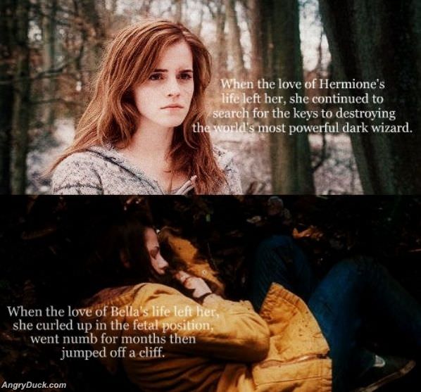 Hermione Vs Bella