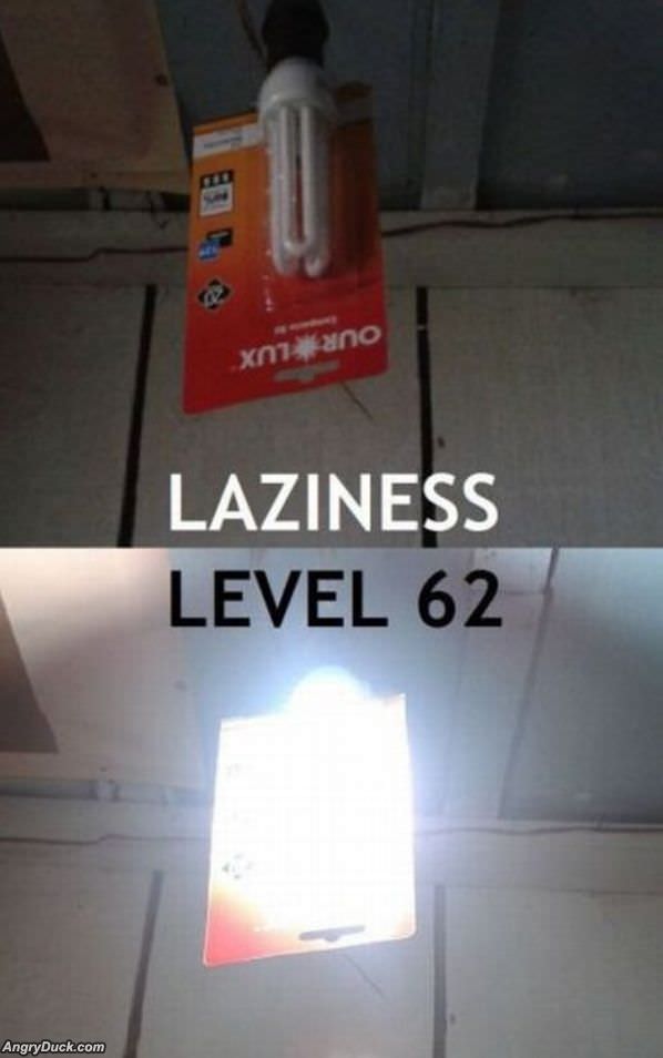 Laziness