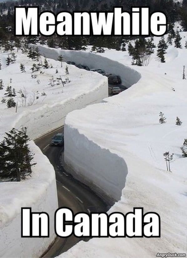 Meanwhile In Canada
