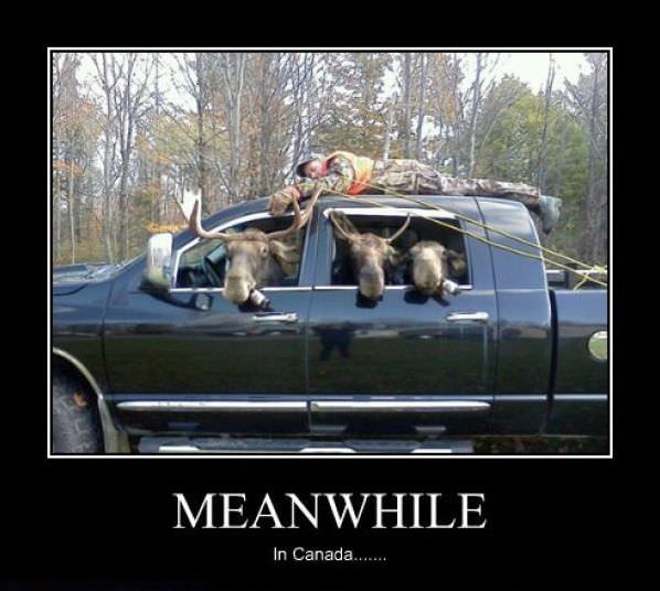 Meanwhile In Canada