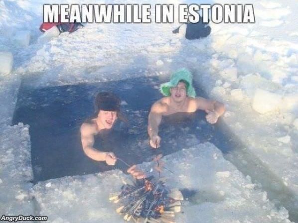 Meanwhile In Estonia
