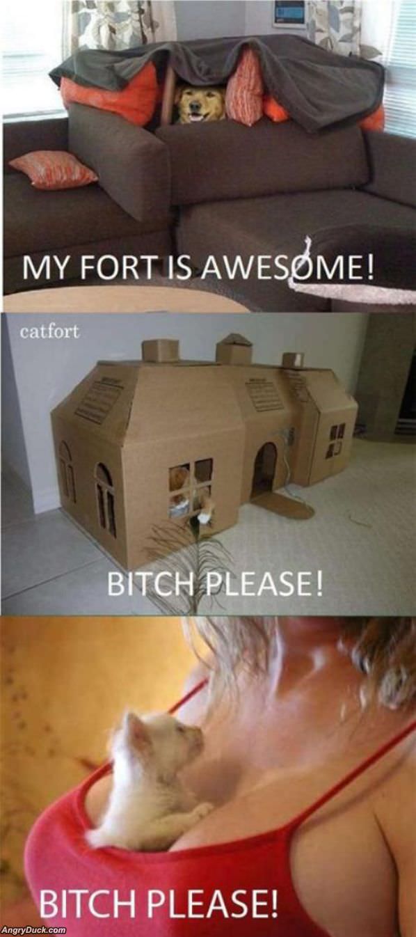 My Fort