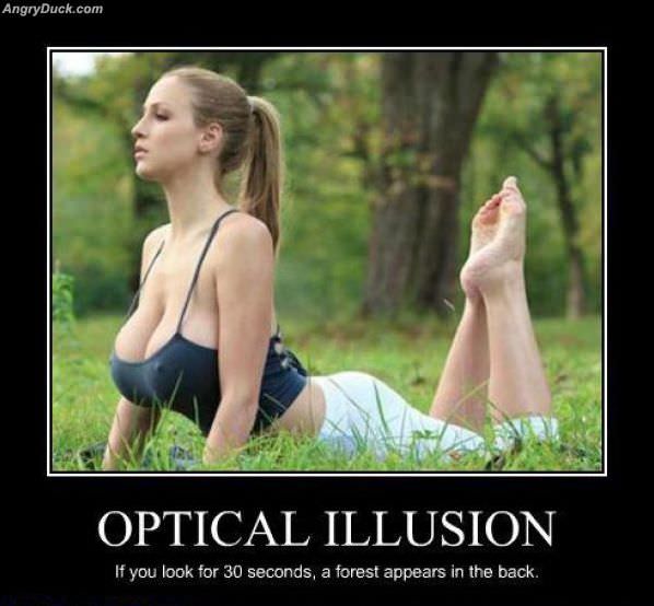 Optical Illusion