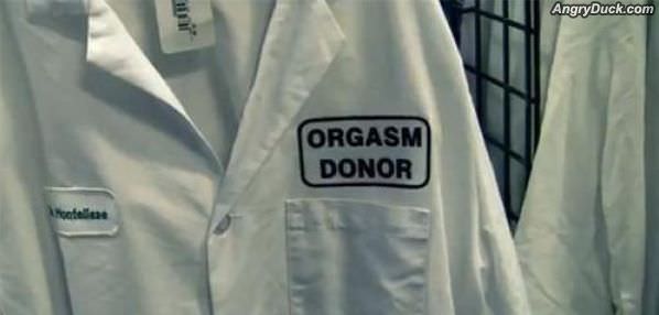 Orgasm Donor