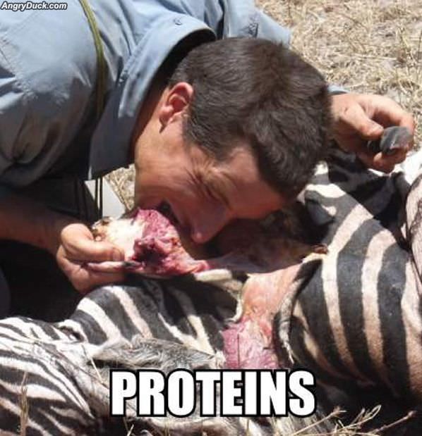 Proteins