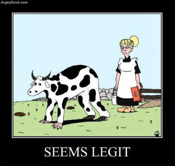 Seems Legit