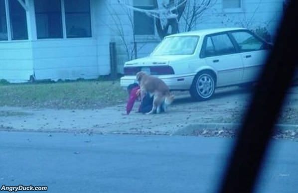 Strange Neighborhood