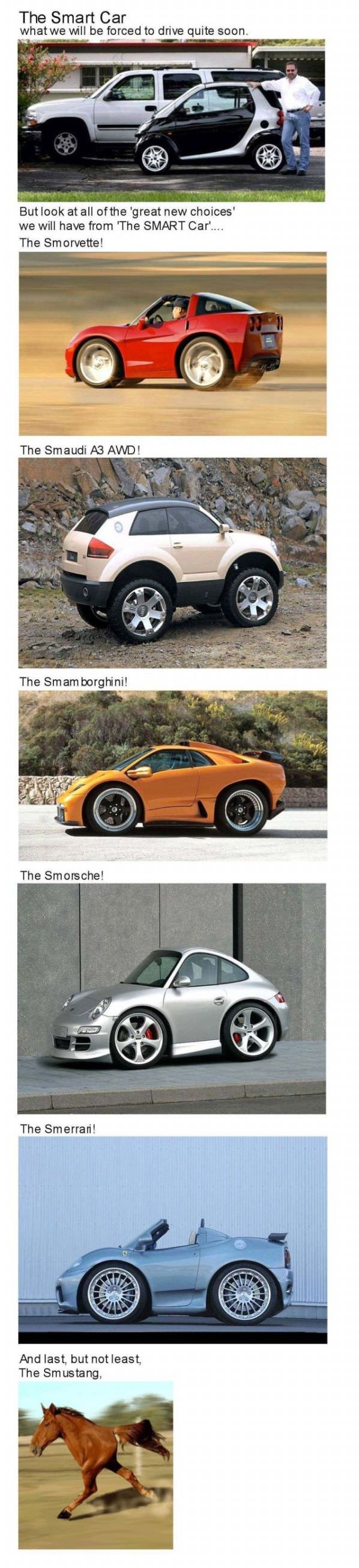 The Smart Car