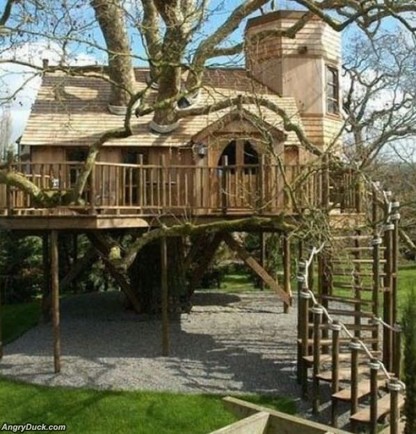 Ultimate Tree House