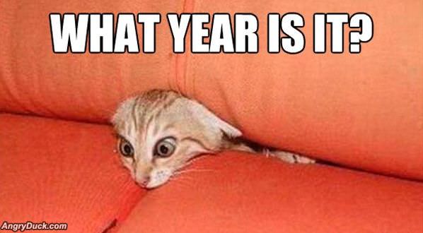 What Year Is It