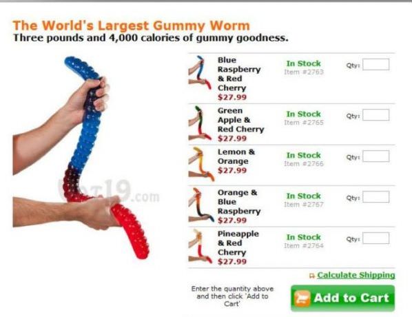 Worlds Largest Gummy Worm4