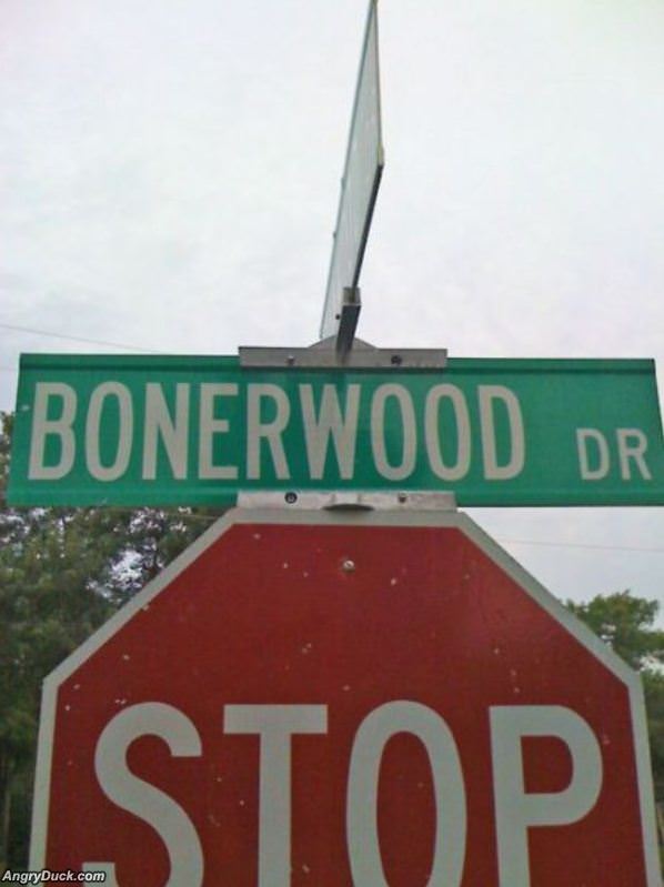Bonerwood Drive