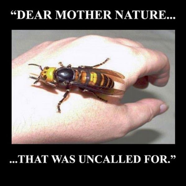 Dear Mother Nature