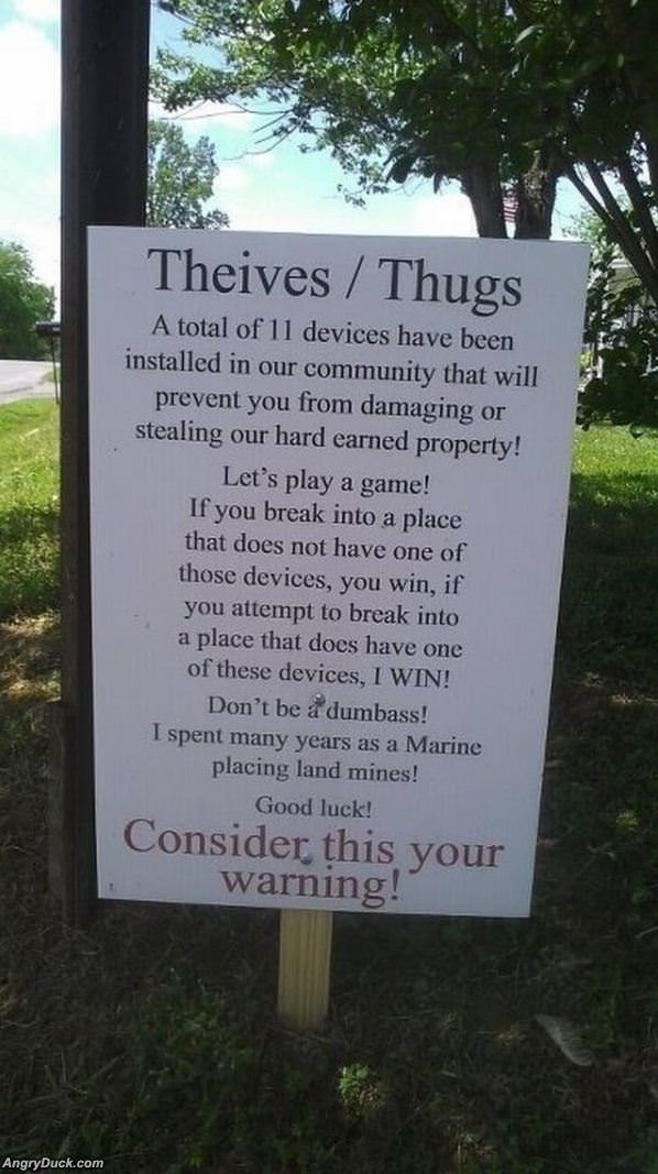 Dear Thieves