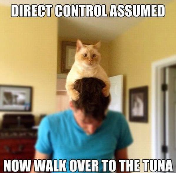 Direct Control