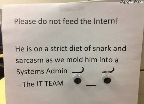 Do Not Feed The Intern