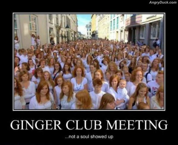 Ginger Club Meeting