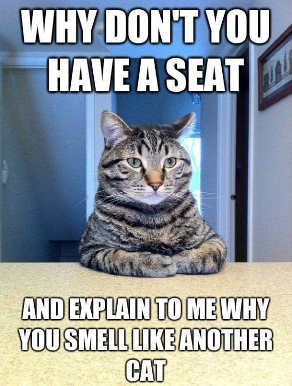 Got Some Explaining To Do