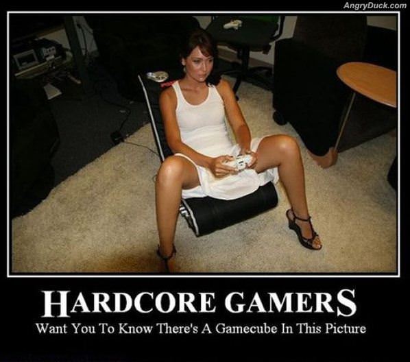 Hardcore Gamers