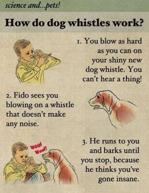 How Dog Whistles Work