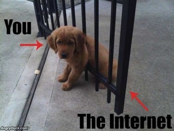 How The Internet Works