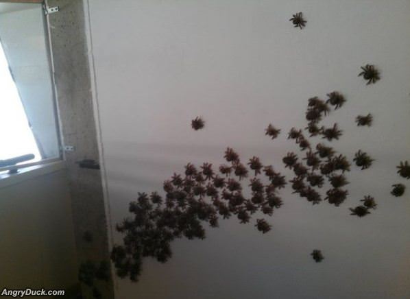 Lets Get Out Of Here