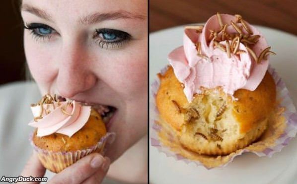 Maggots Cupcake