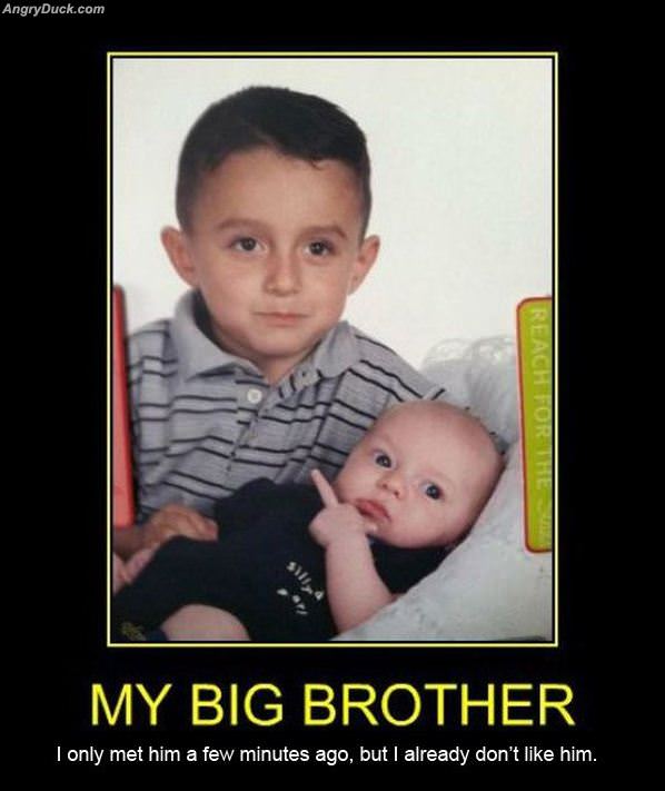 My Big Brother
