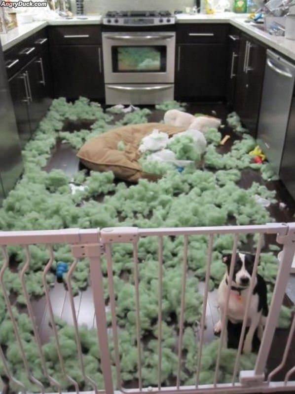 Not A Fan Of That Pillow