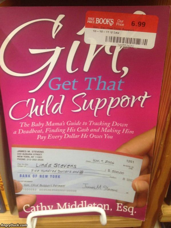 The Baby Momma Guide