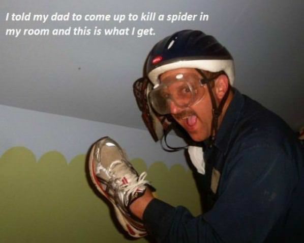 The Spider Killer