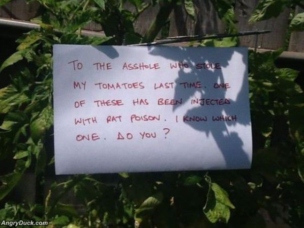 Tomato Thief