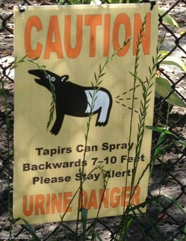 Urine Danger