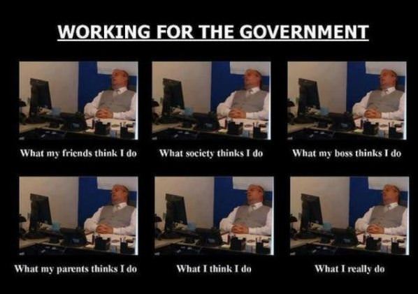 Working For The Government