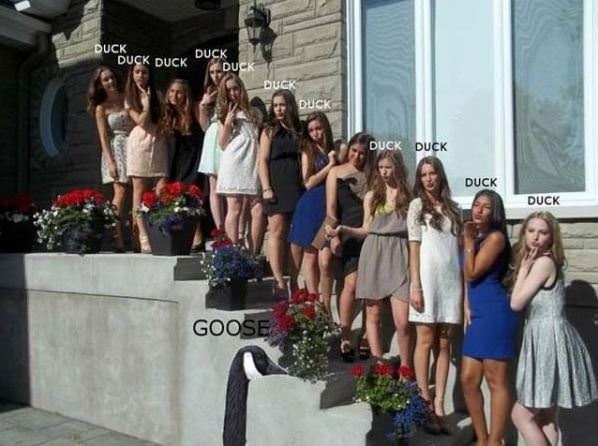 Duck Duck Goose