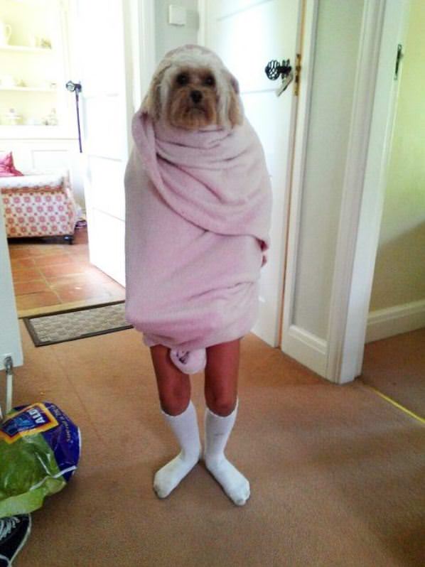 Hair Needs Some Combing