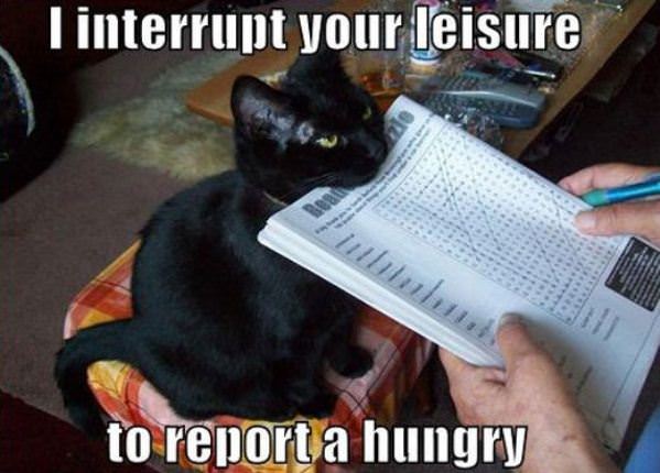 Interruptor Cat