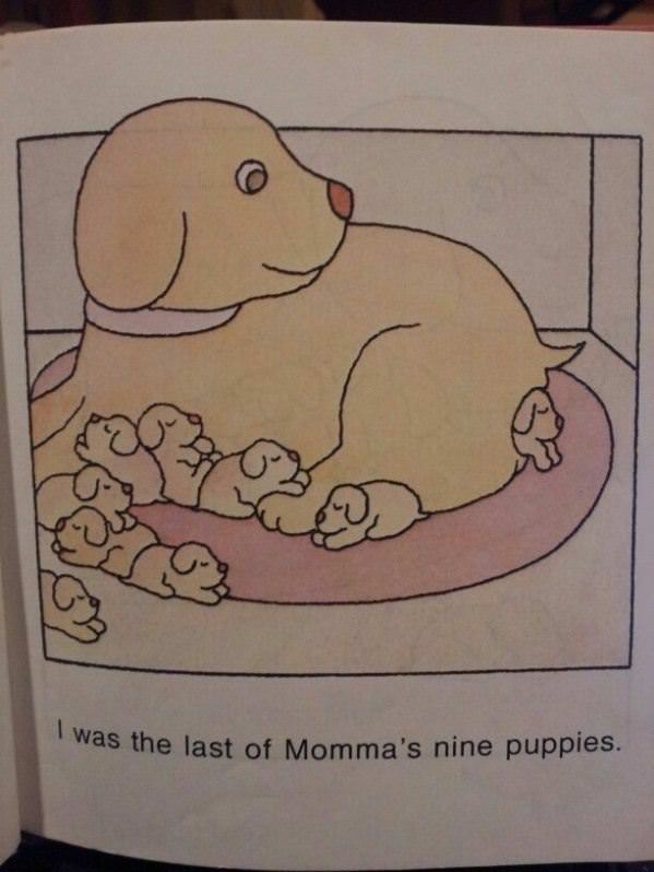 The Last Puppy