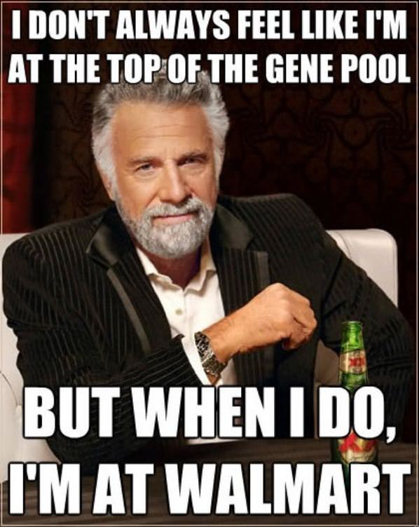 Top Of The Gene Pool