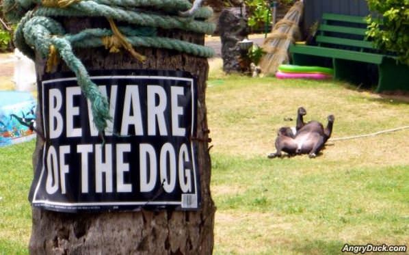 Beware Of The Dog